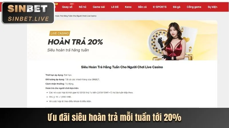 Ứng dụng di động k8vn casino
